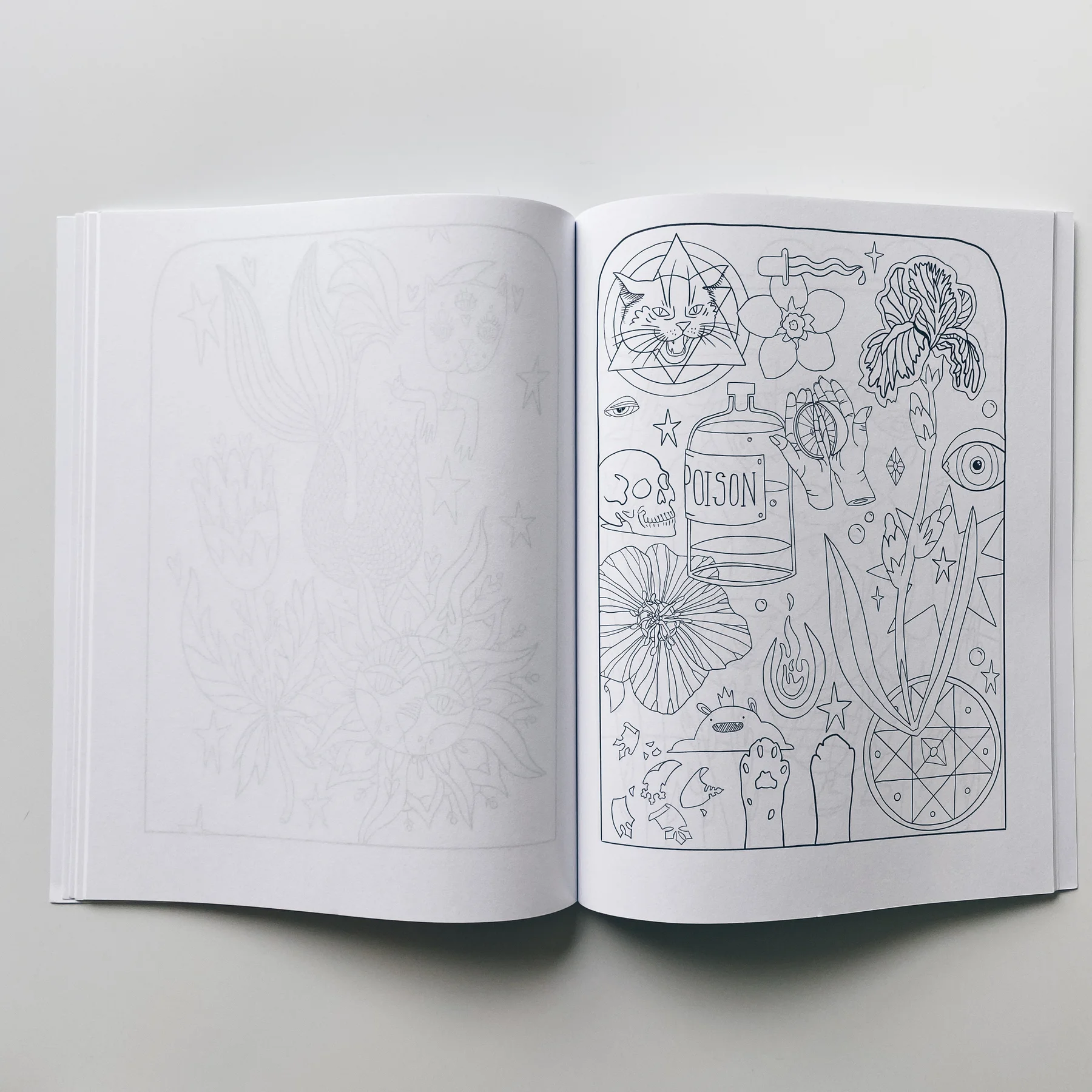 interior page of weird lizas colorama volume 3 with illustration of witchy items and symbols. page is uncolored, book open on white background.