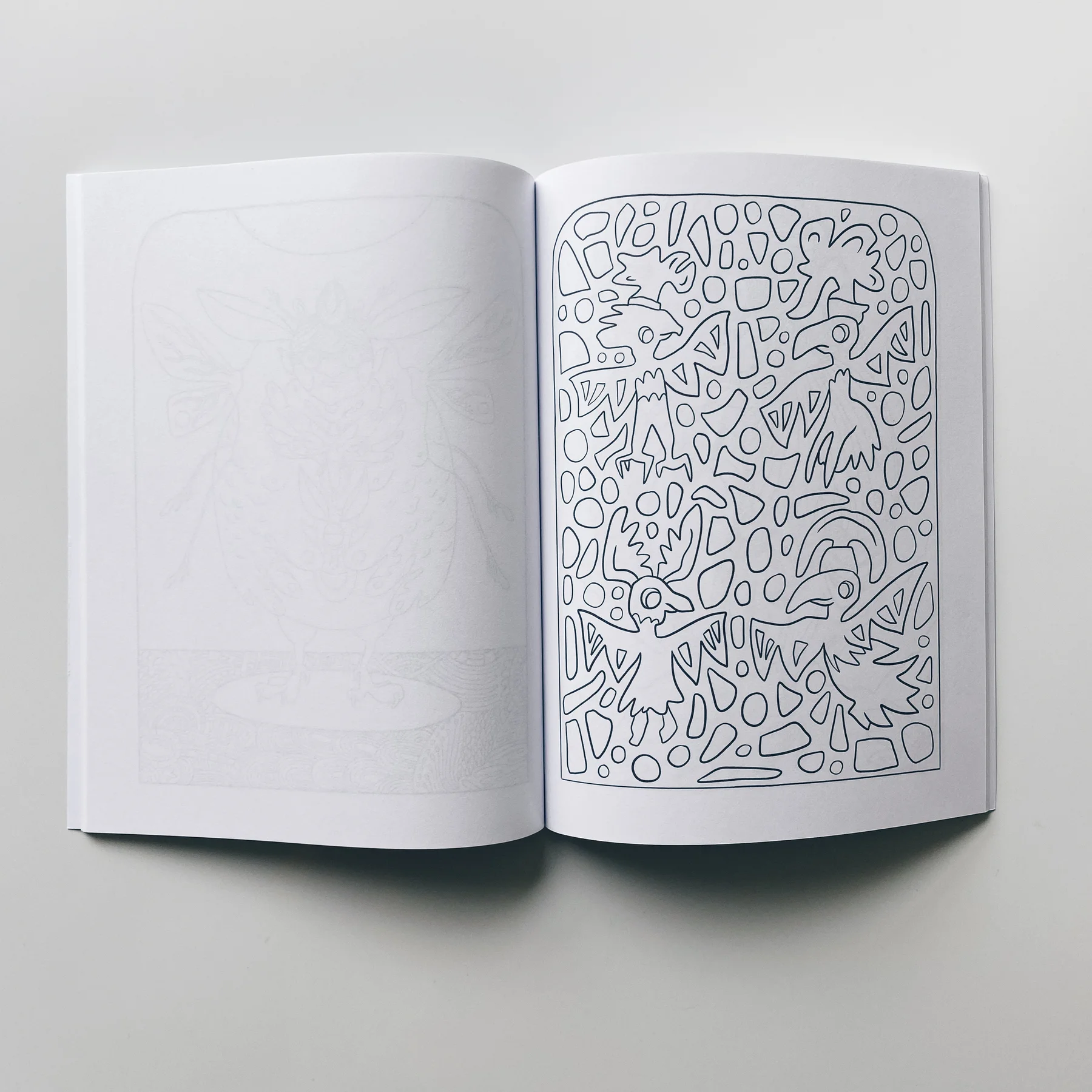 interior pages of weird lizas colorama volume 8 with abstract bird friends and rock dots pattern. page is uncolored, book open on white background.