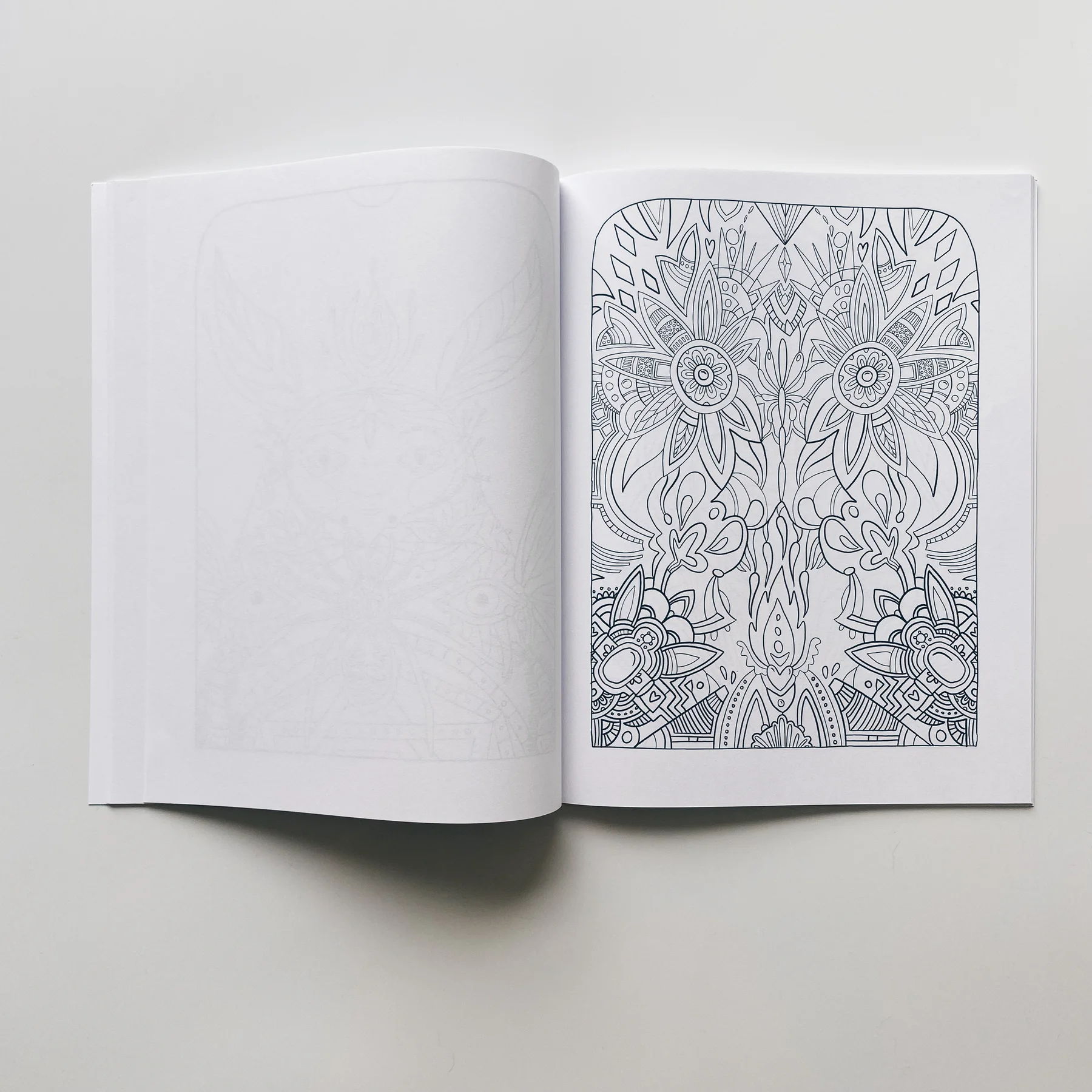 interior pages of weird lizas colorama volume 9 with symmetrical organic pattern. page is uncolored, book open on white background.