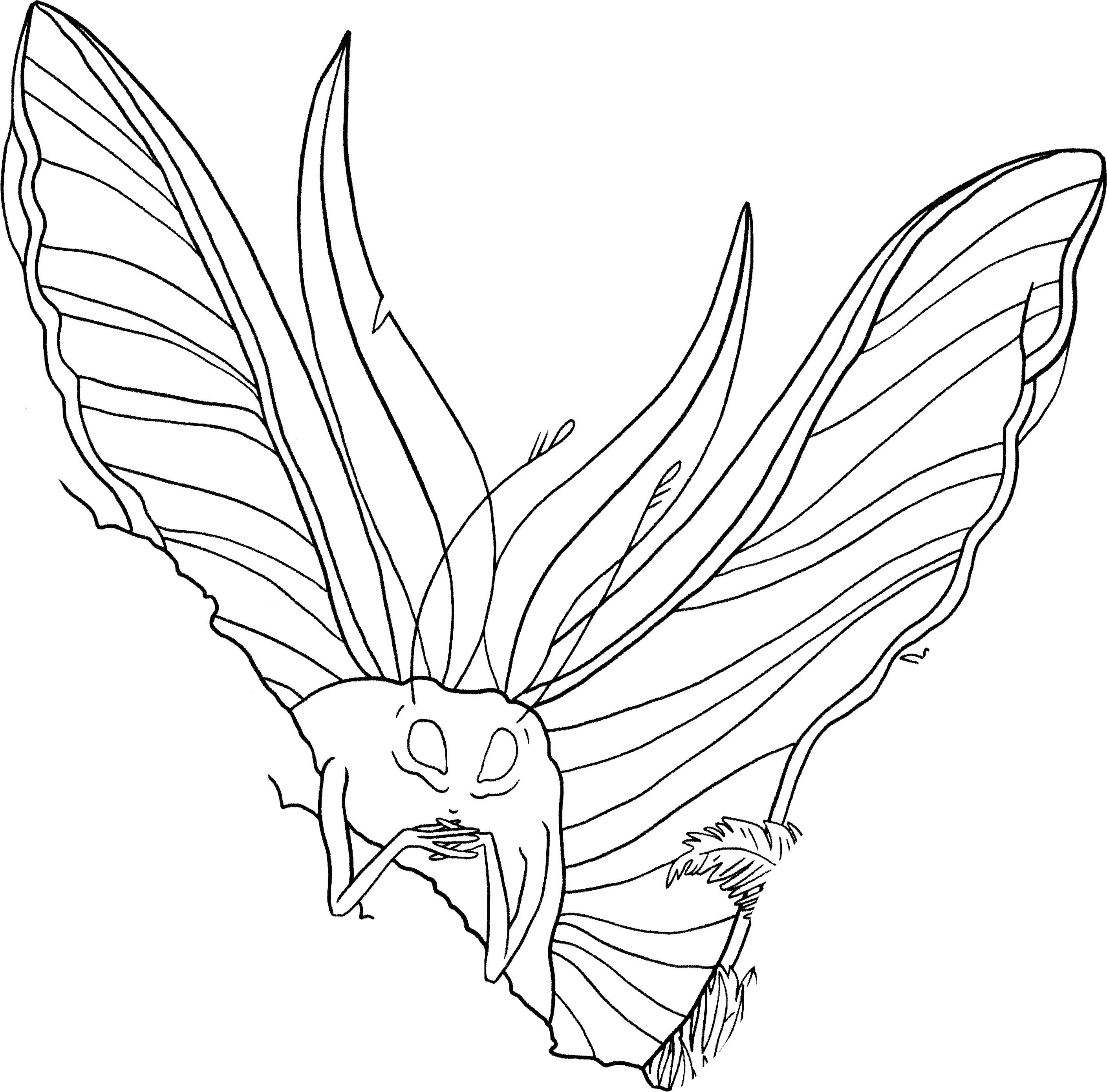 Contact Background Image